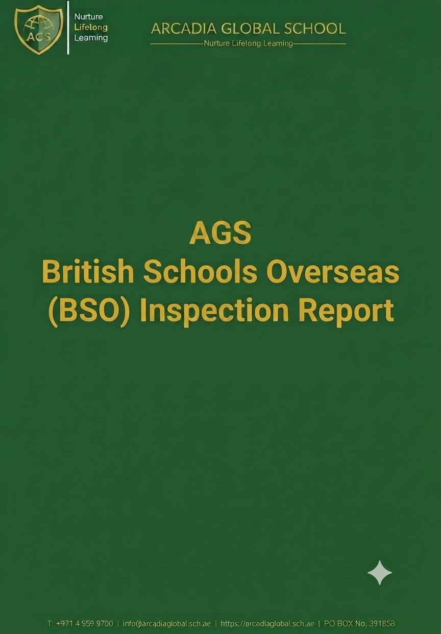 BSO Report